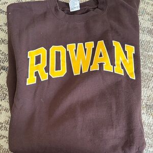 Champion Dark Brown Sweatshirt